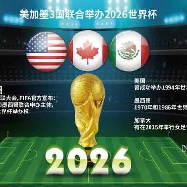 申花队内,隐忍杀手,谢鹏飞心系,世界杯半决赛,2026世界杯,赛程安排,球队分析,赛事动态